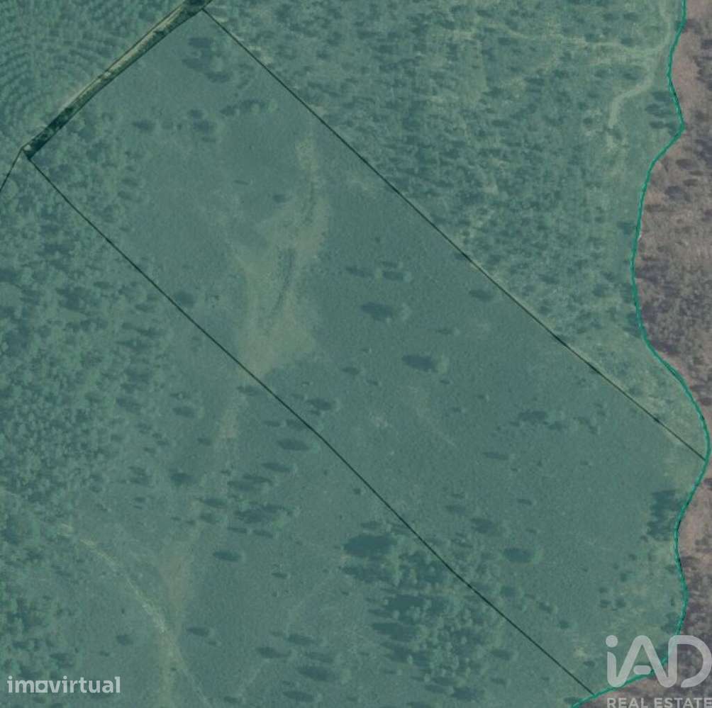 Terreno Agrícola em Ninho do Açor e Sobral do Campo - Grande imagem: 4/30