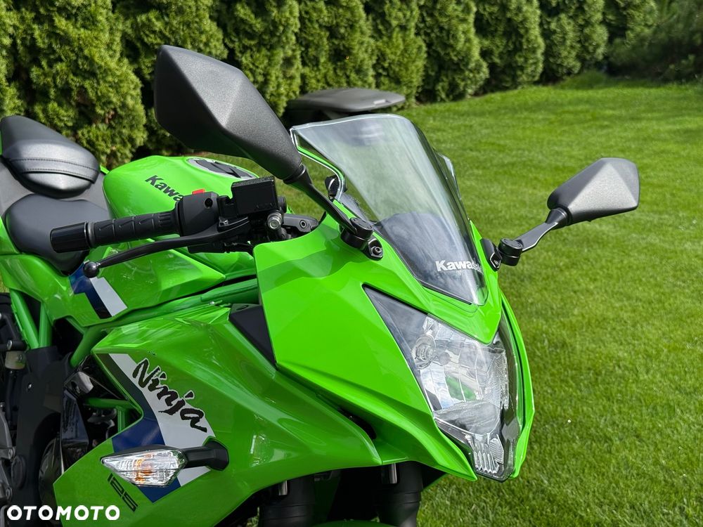Kawasaki Ninja - 25
