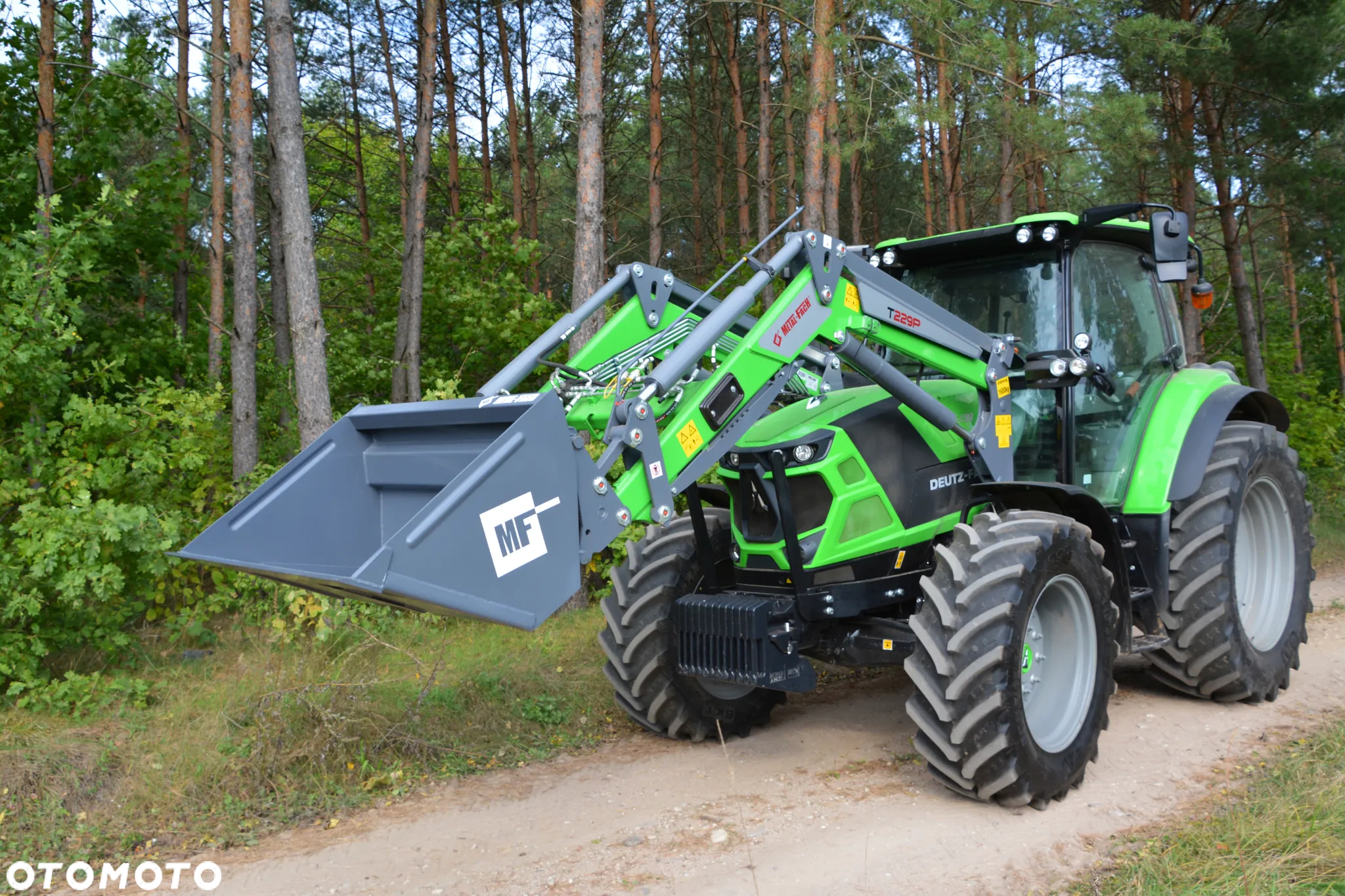 Metal Fach T229 - 3