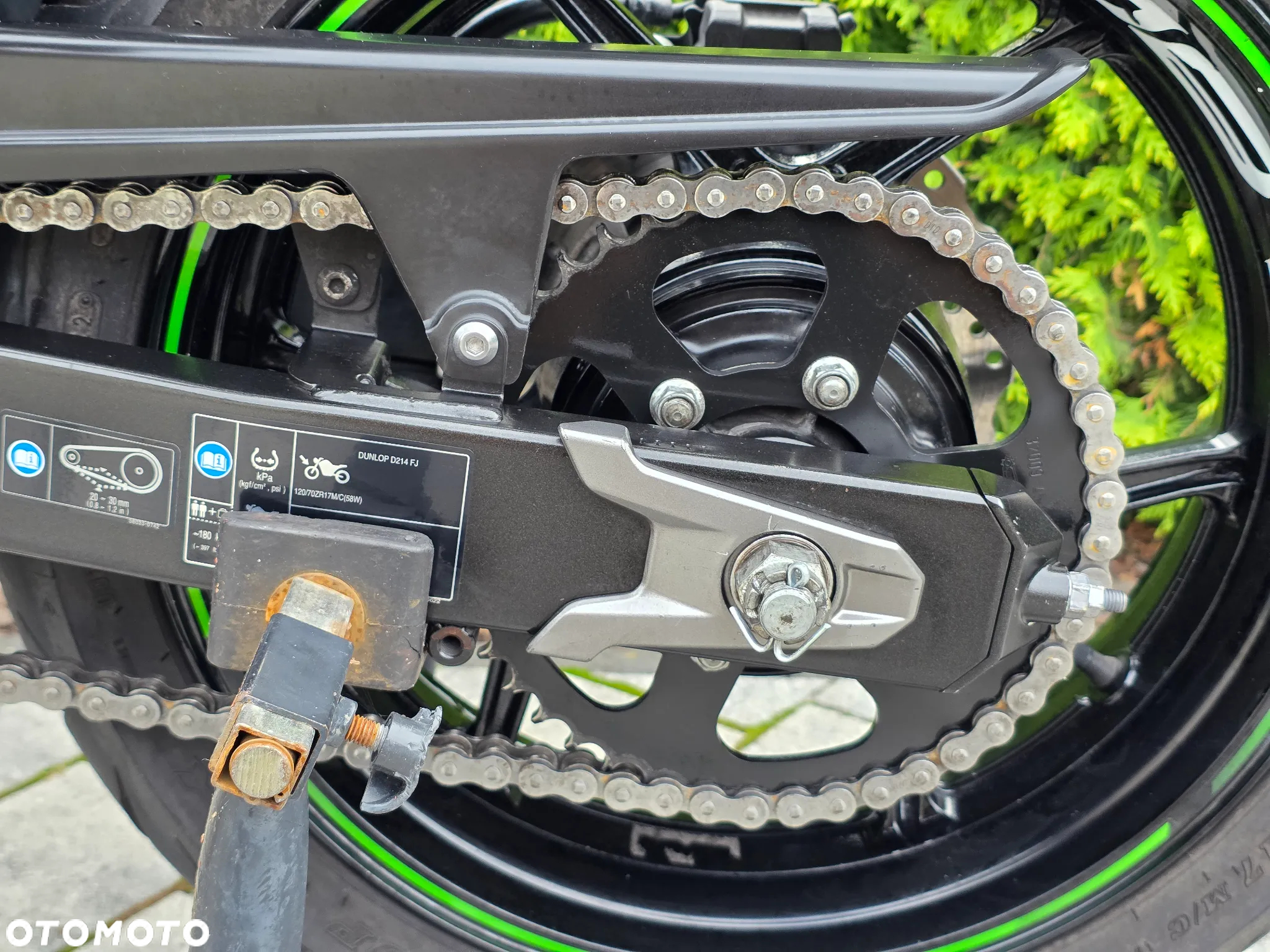Kawasaki Z - 31