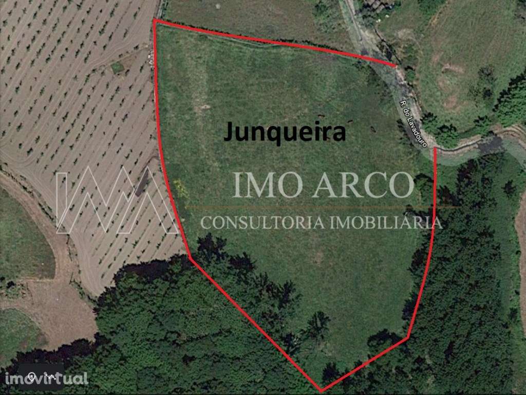 Terreno agrícola - Grande imagem: 2/14