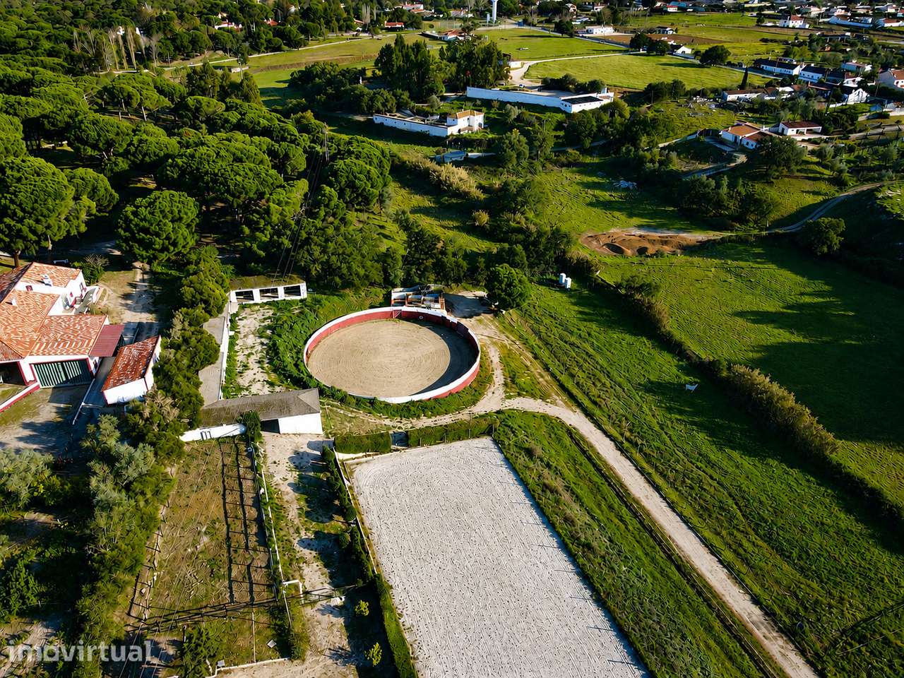 QUINTA EQUESTRE SANTO ESTEVÃO - Grande imagem: 3/21