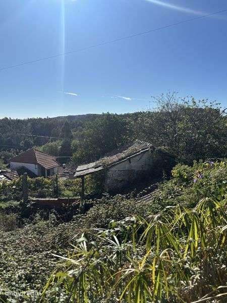 Moradia Cabroelo - Penafiel - Grande imagem: 2/10