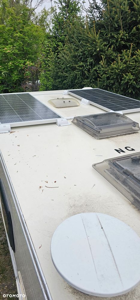 Avondale ARGENTE - 9