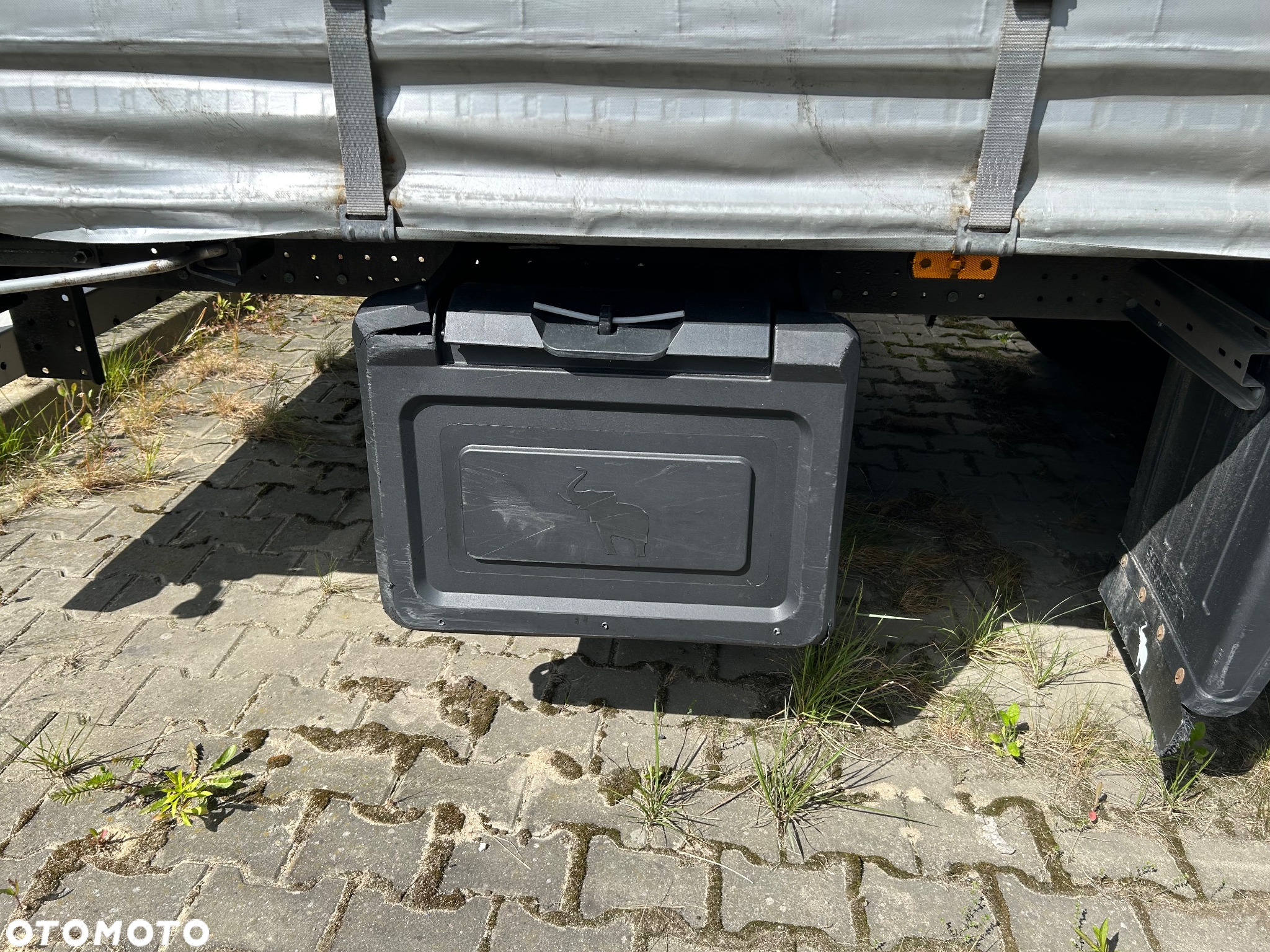 Schmitz Cargobull - - 11