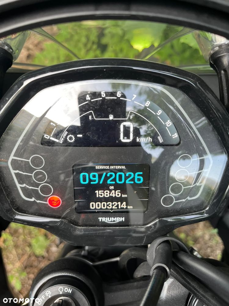 Triumph Tiger - 15