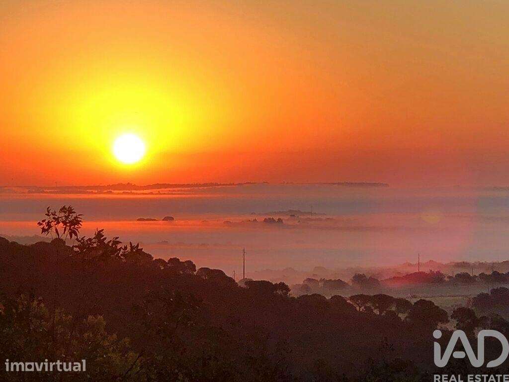 Terreno Agrícola em Bensafrim e Barão de São João - Grande imagem: 4/27