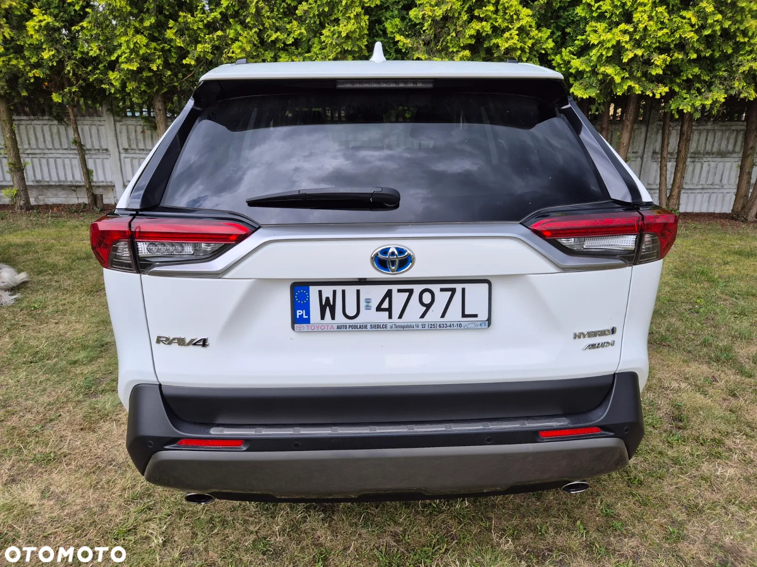 Toyota RAV4 2.5 4x4 Hybrid Comfort - 8