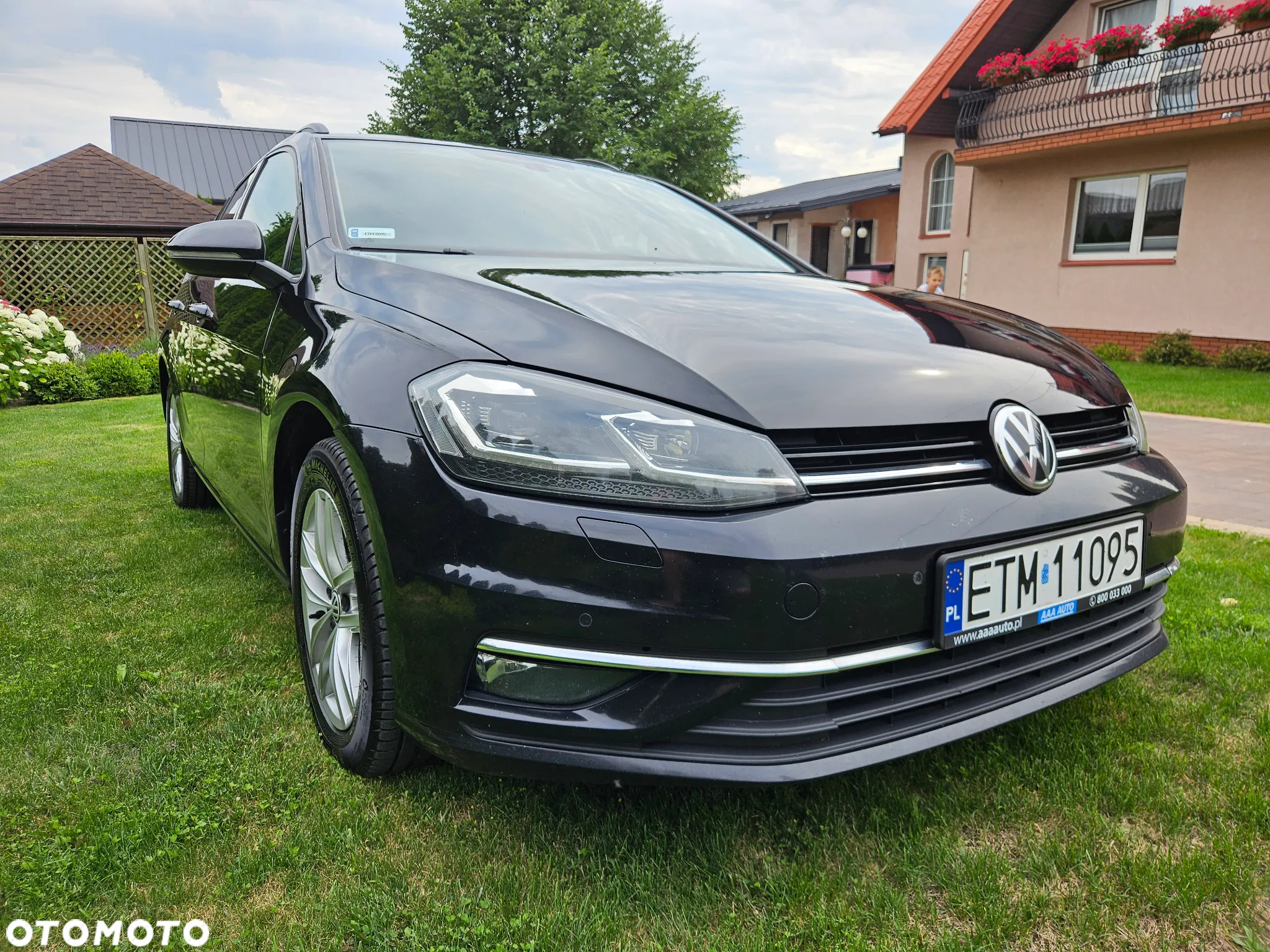 Volkswagen Golf - 8