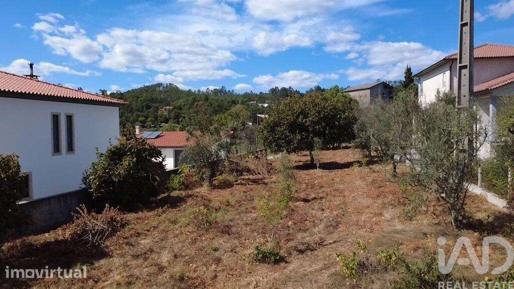 Terreno em Cavernães - Grande imagem: 3/24