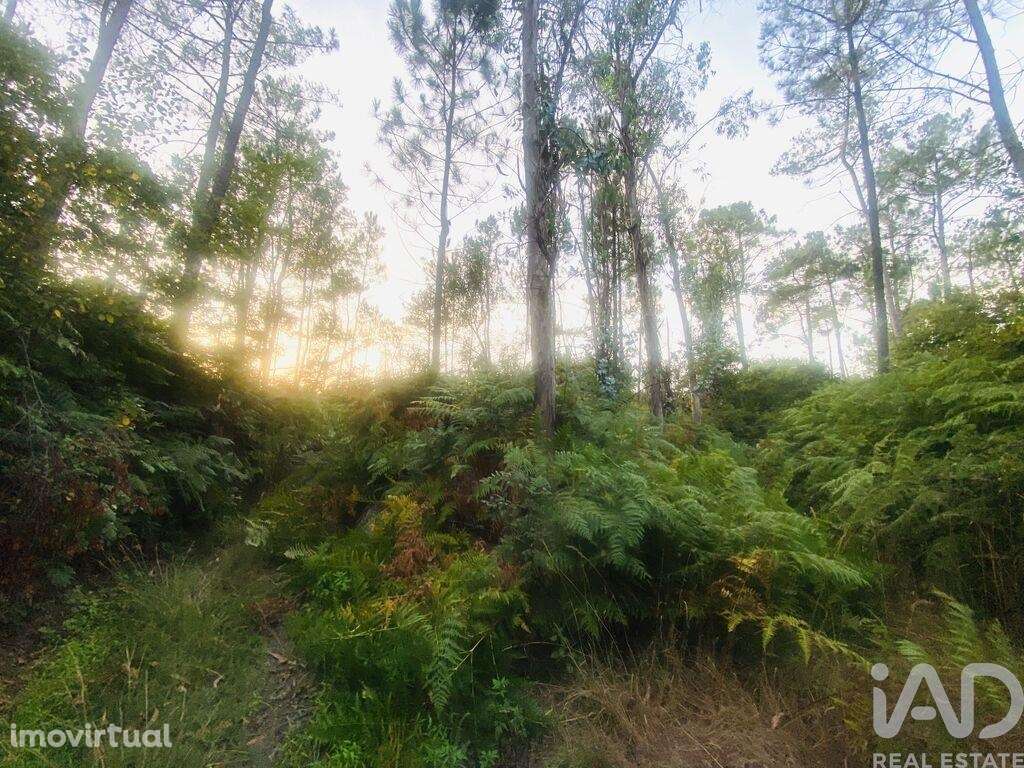 Terreno em Sapardos de 612,00 m2 - Grande imagem: 4/8