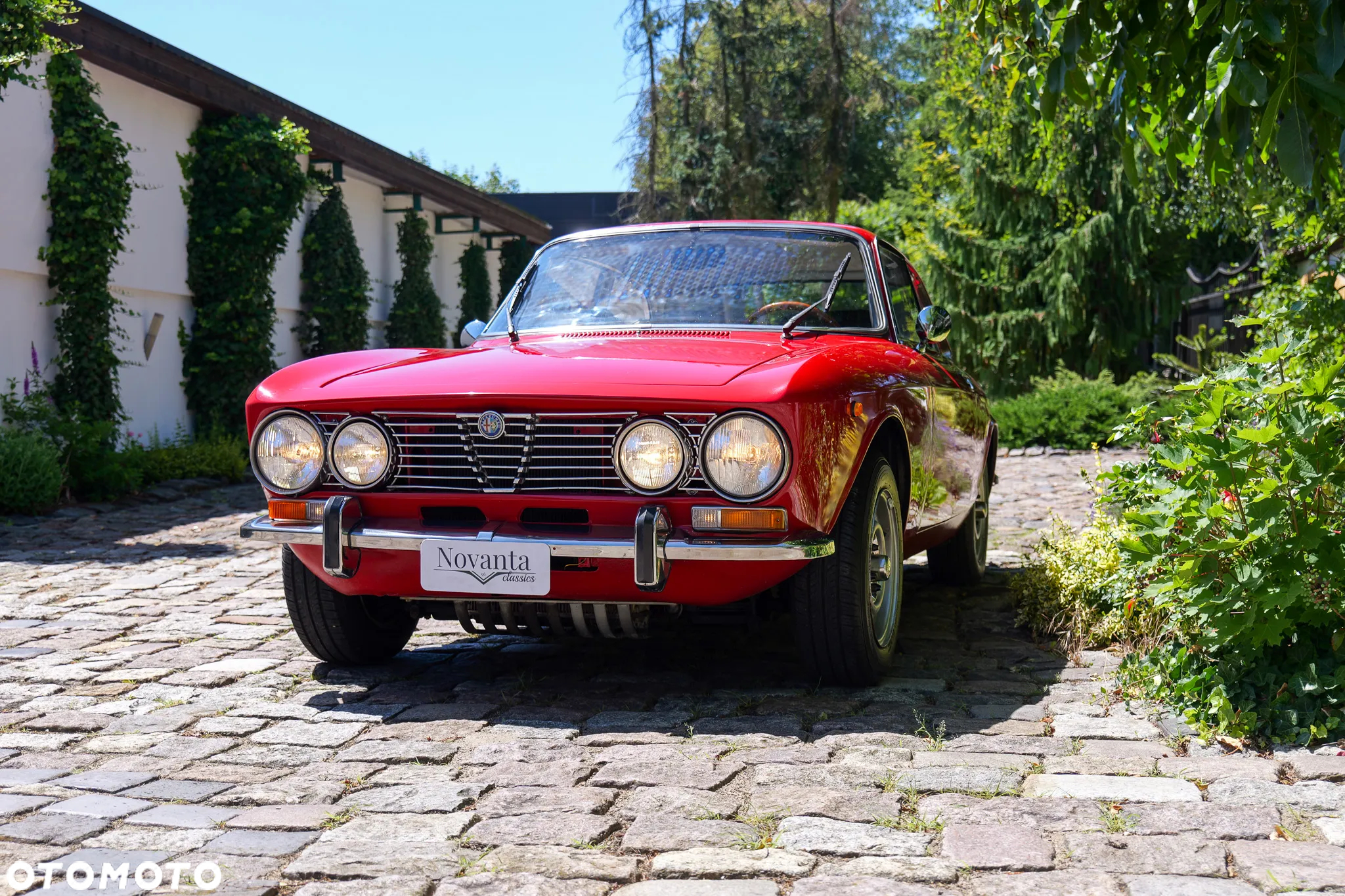 Alfa Romeo GT - 2