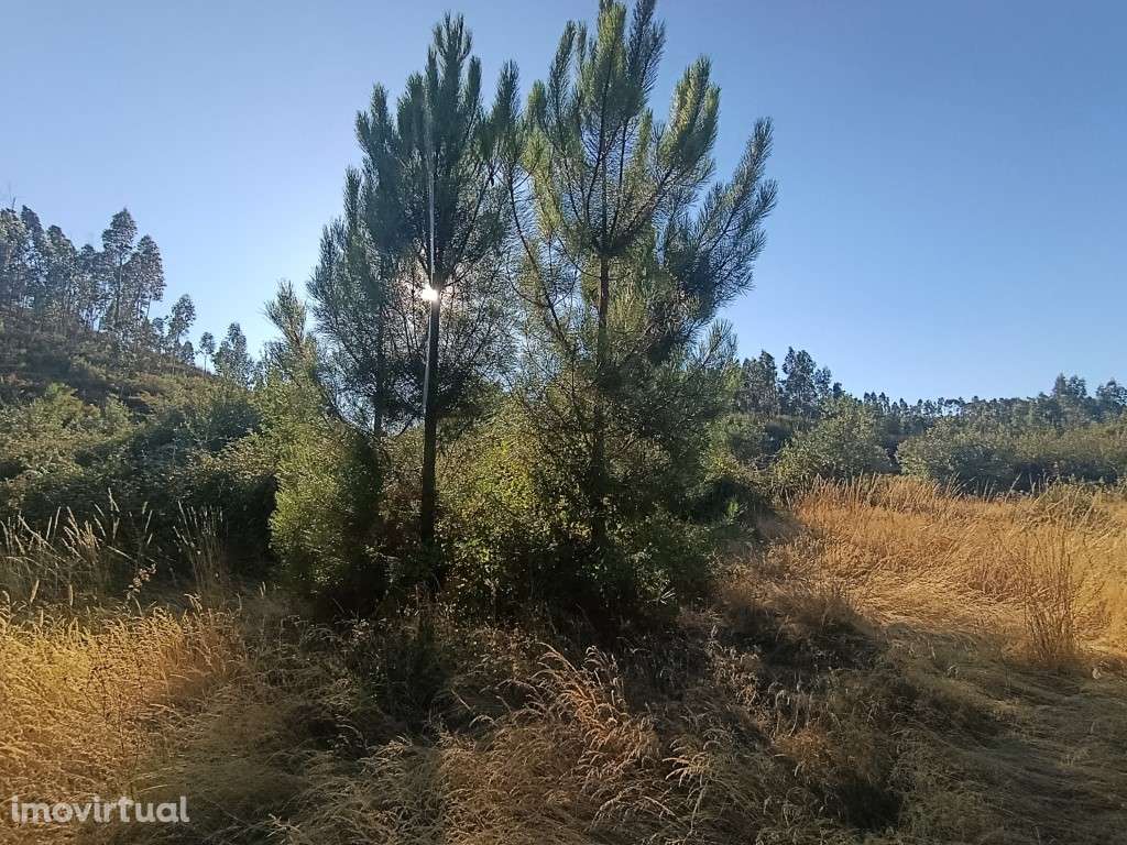 Terreno Rústico - Grande imagem: 2/6