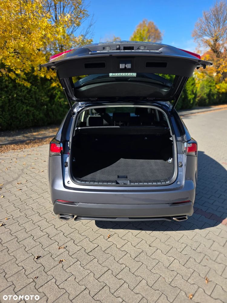 Lexus Nx 2015 photo 5