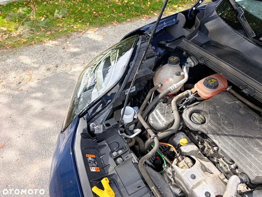 Ford Puma - 29