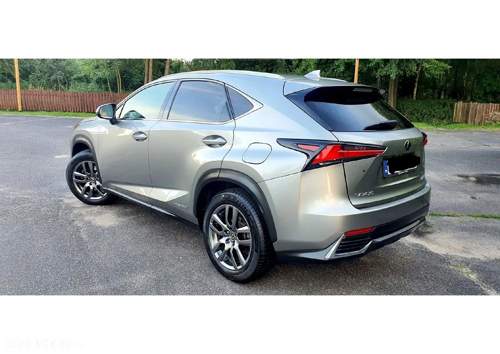 Lexus NX 300h Comfort AWD - 15