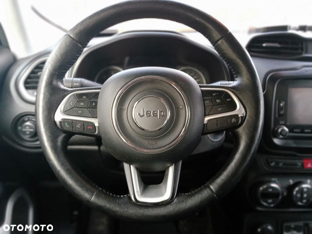 Jeep Renegade 2.0 MultiJet Active Drive Limited Adventure Edition - 13