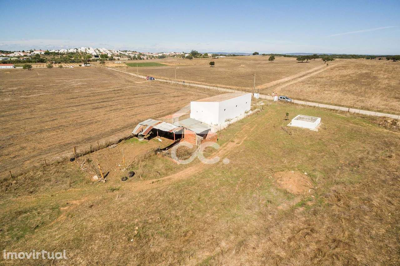 Terreno rústico de 3 hectares, com dependência agrícola, poço e tanque - Grande imagem: 2/29