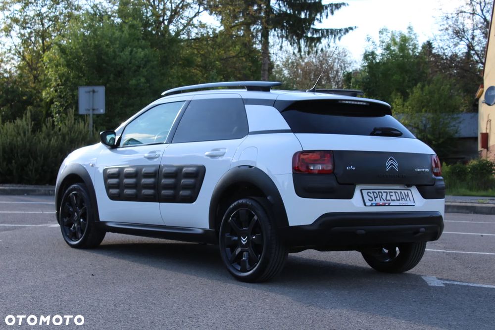 Citroën C4 Cactus VTi 82 Shine - 12