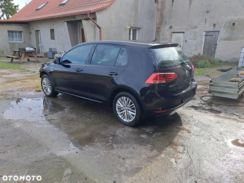 Volkswagen Golf - 2