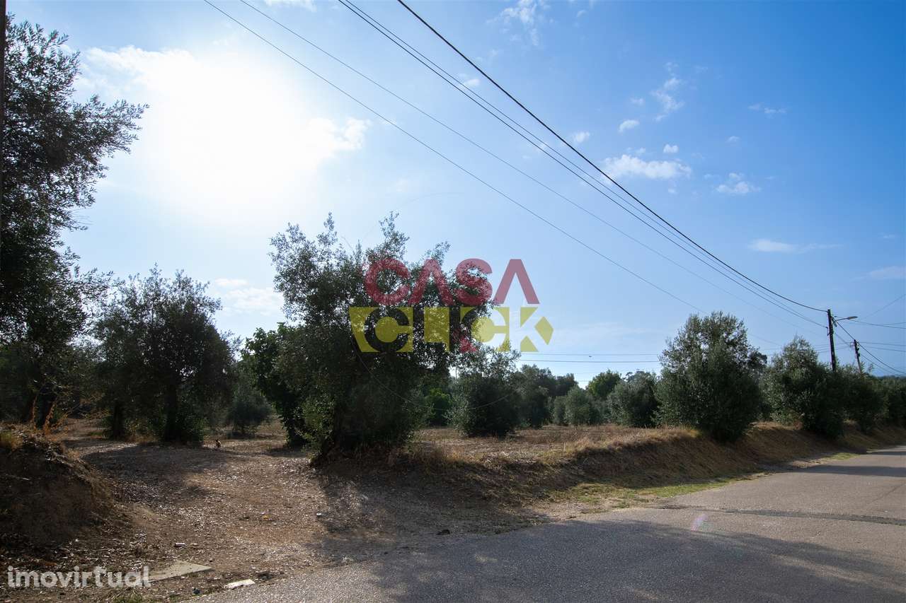 Terreno Para Construção T3 Venda em Olaia e Paço,Torres Novas - Grande imagem: 2/5