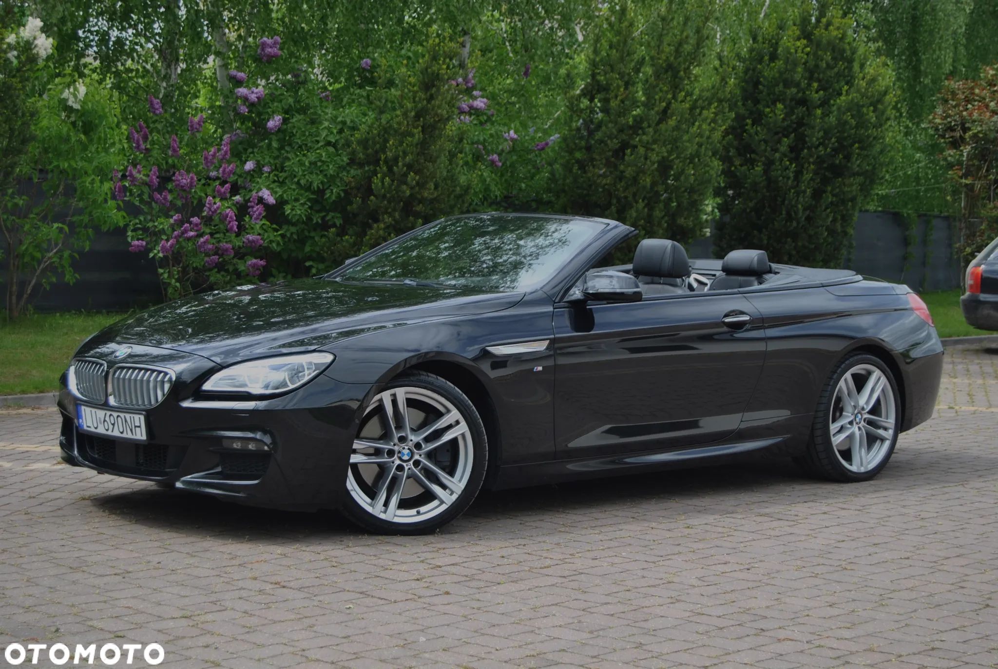 BMW Seria 6 - 1
