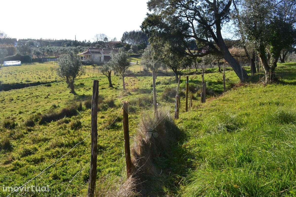 Terreno  para venda - Grande imagem: 2/44