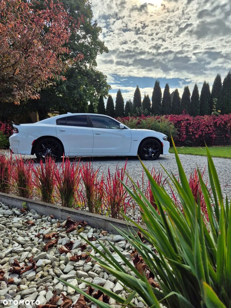 Dodge Charger - 14