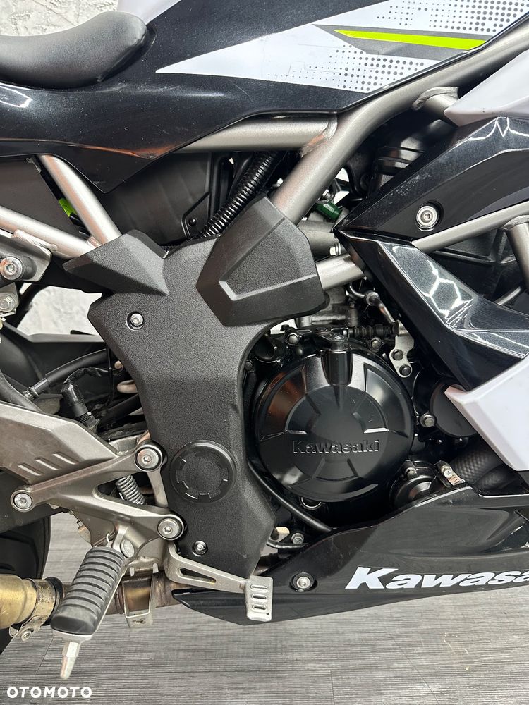 Kawasaki Ninja - 9