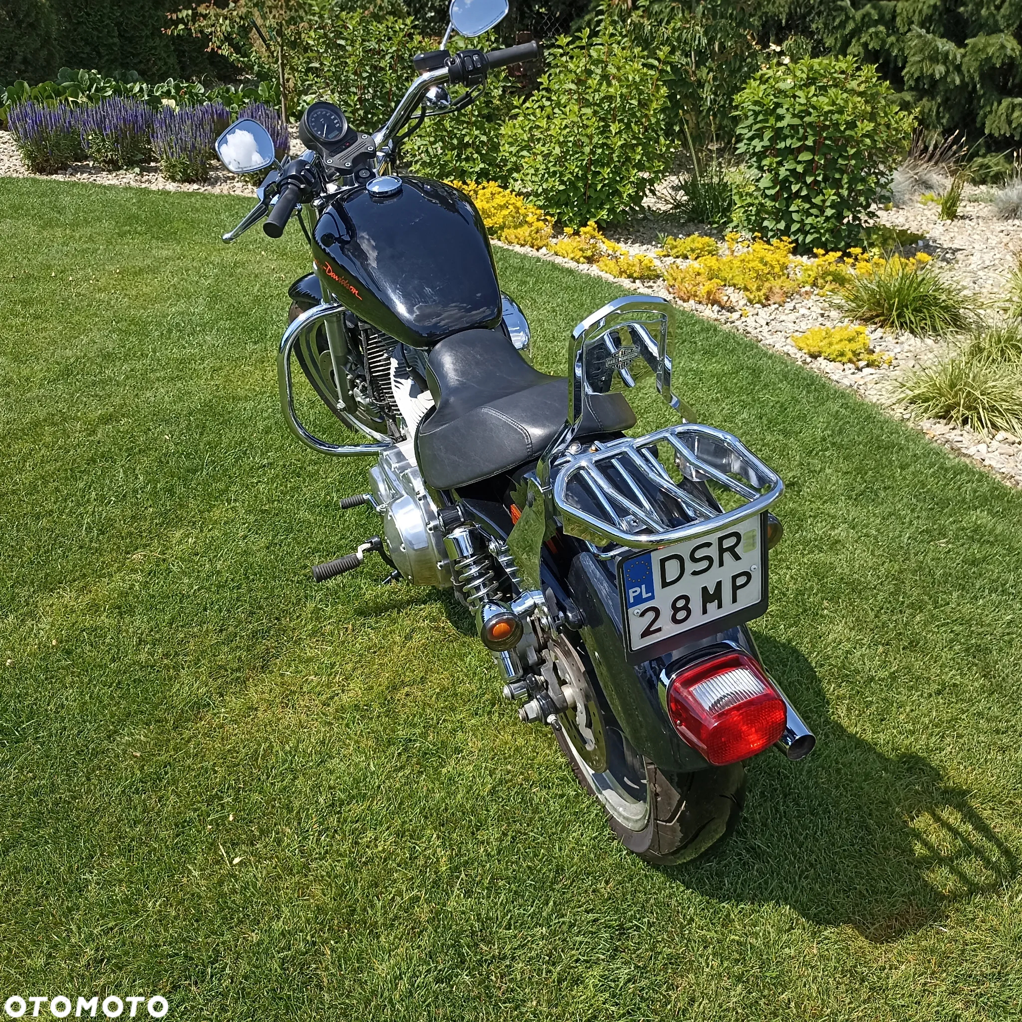 Harley-Davidson Sportster Low 883L - 6