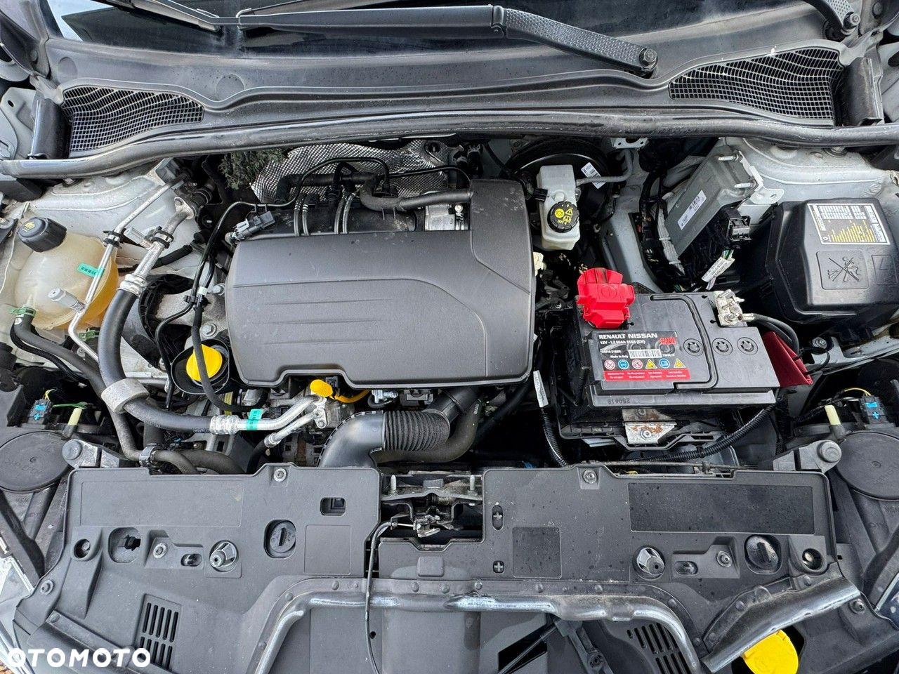Renault Clio - 31