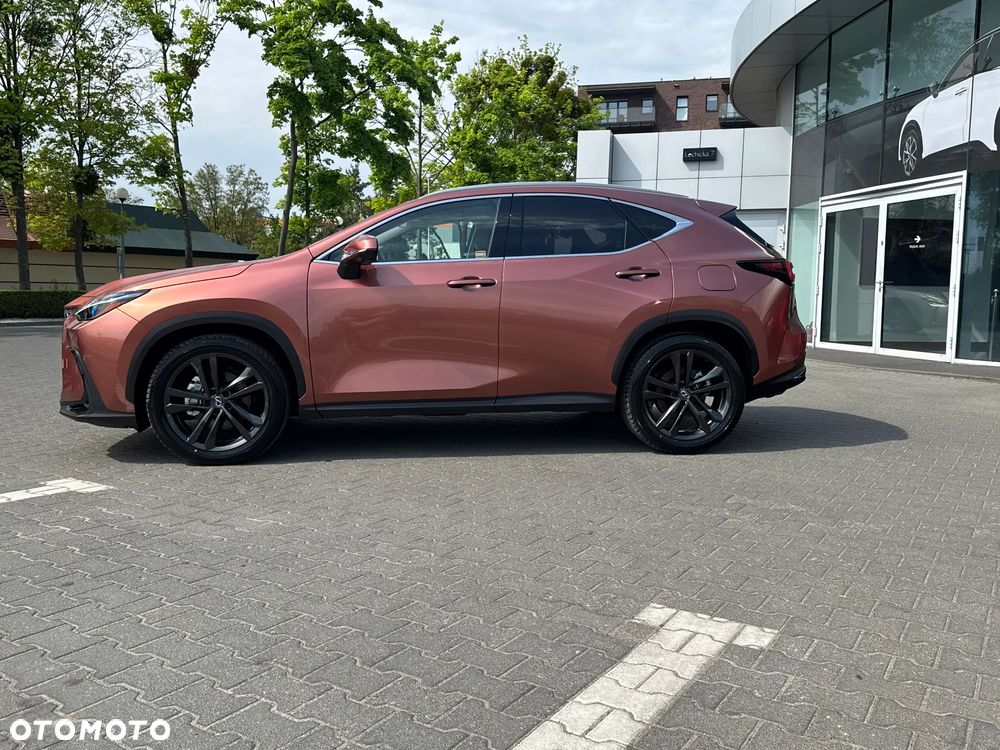 Lexus NX - 11