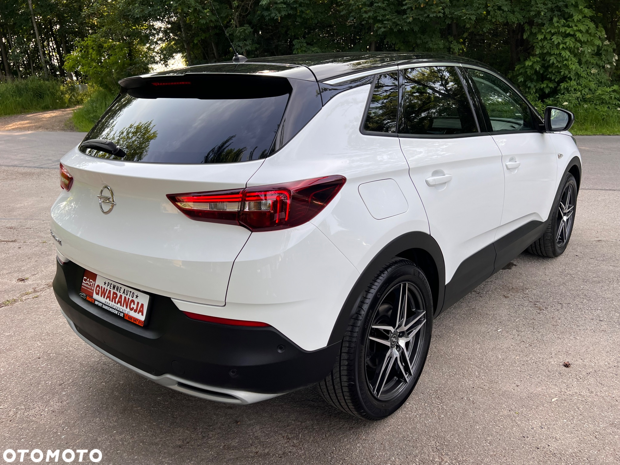Opel Grandland X 2.0 CDTI Innovation S&S - 6