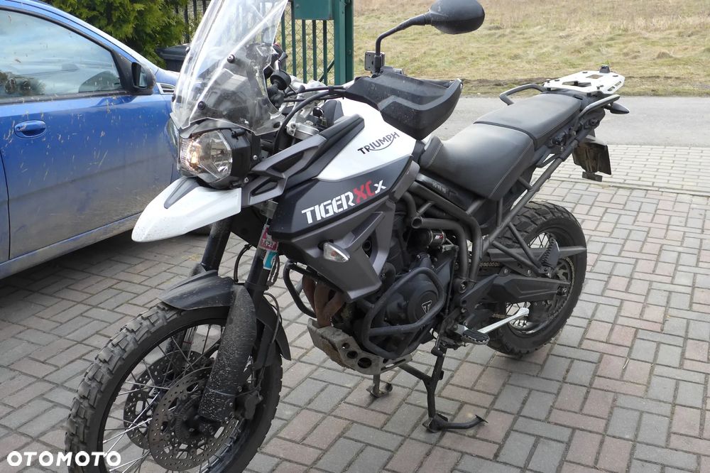 Triumph Tiger - 2