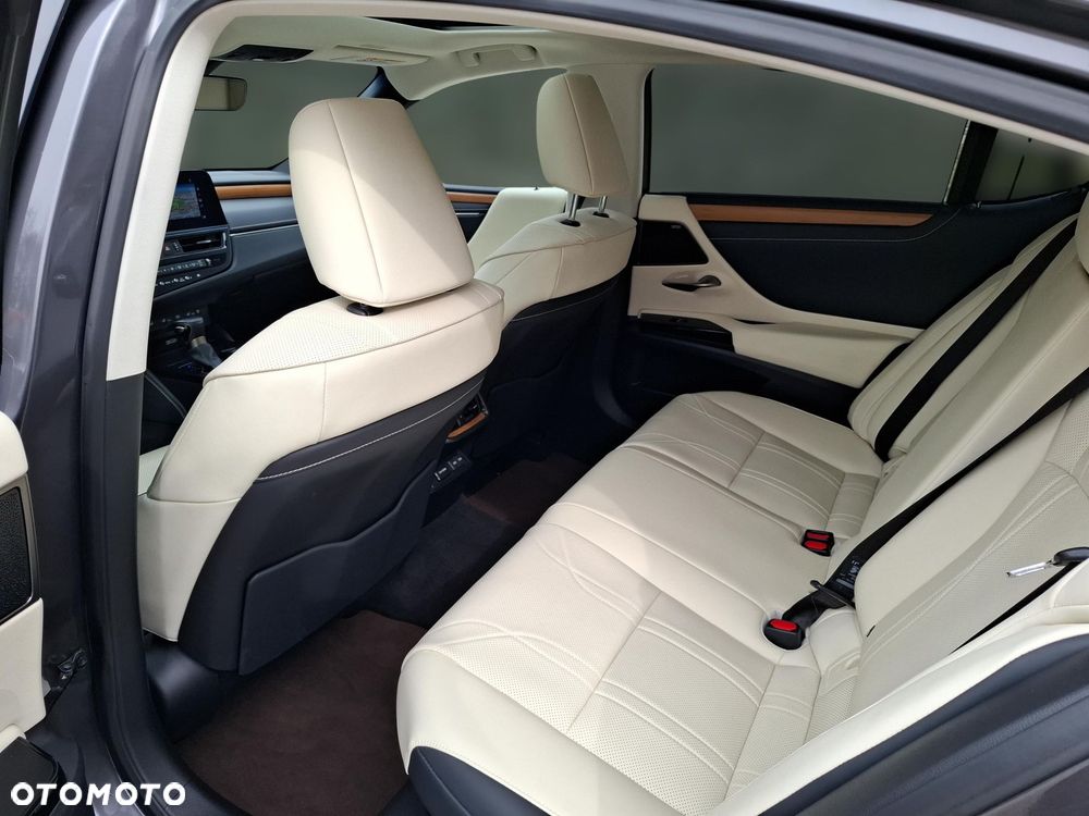 Lexus ES 300h Omotenashi - 12