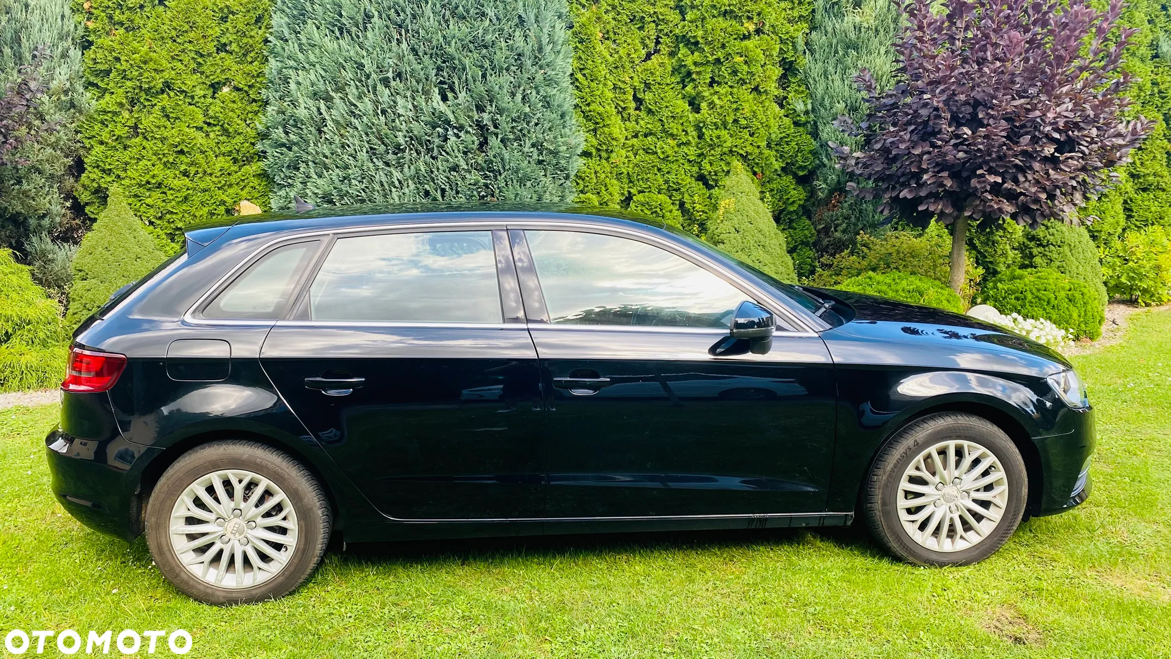 Audi A3 Sportback 1.6 TDI - 11