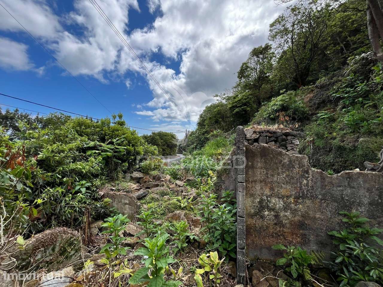 Terreno com Potencial de Construção e Vista Mar nas Quatro Ribeiras - Grande imagem: 2/7