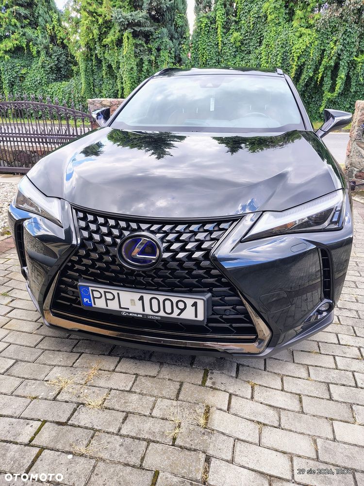 Lexus UX 250h Prestige 2WD - 5