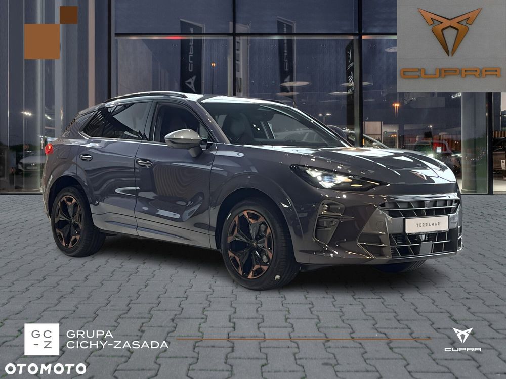 Cupra Terramar - 8