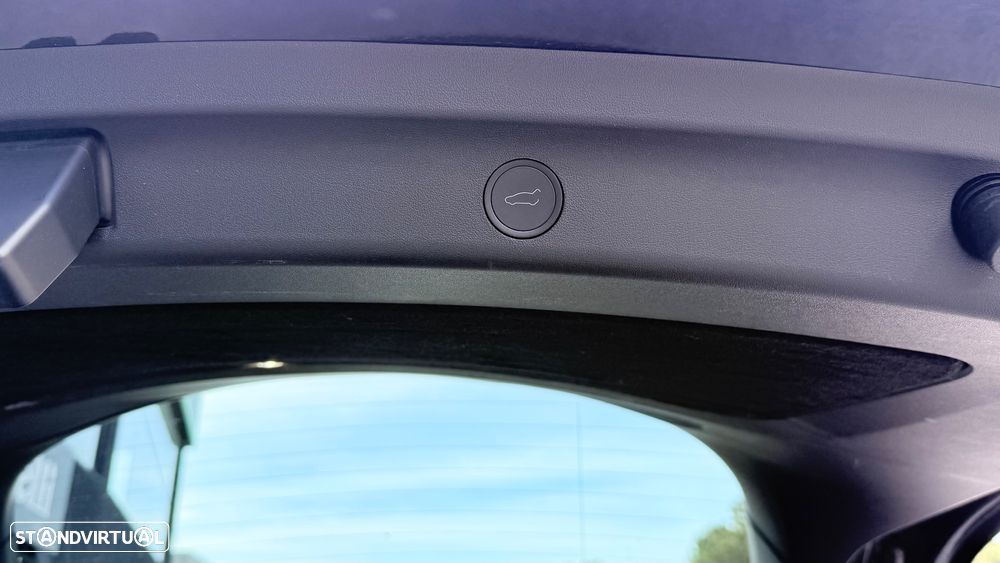 Tesla Model Y Performance Dual Motor AWD - 32