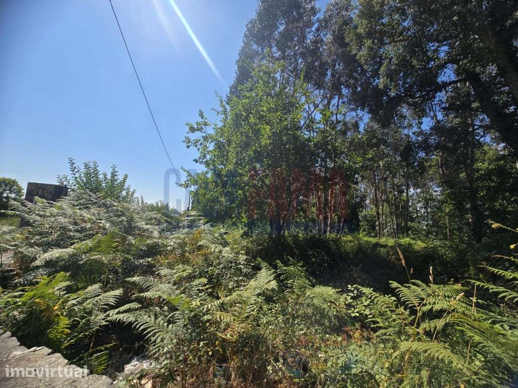 TERRENO PARA VENDA | 8.500 m² | CARREIRA E BENTE - VILA NOVA DE FAM... - Grande imagem: 3/19