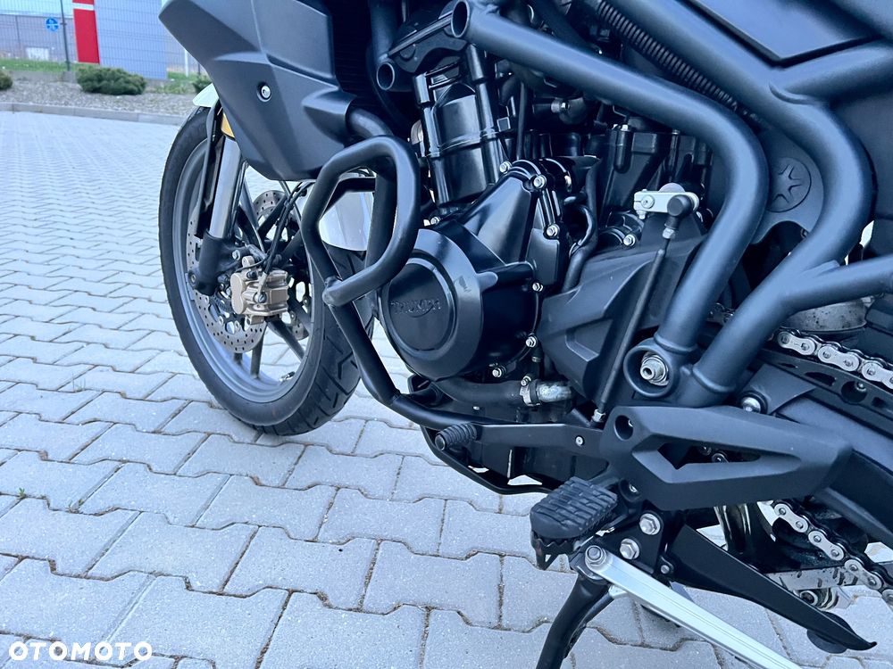 Triumph Tiger - 10