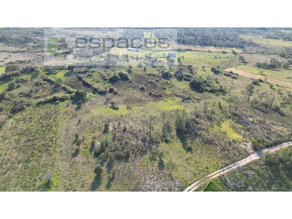 Terreno com 2 poços - S. Domingos - Grande imagem: 2/11