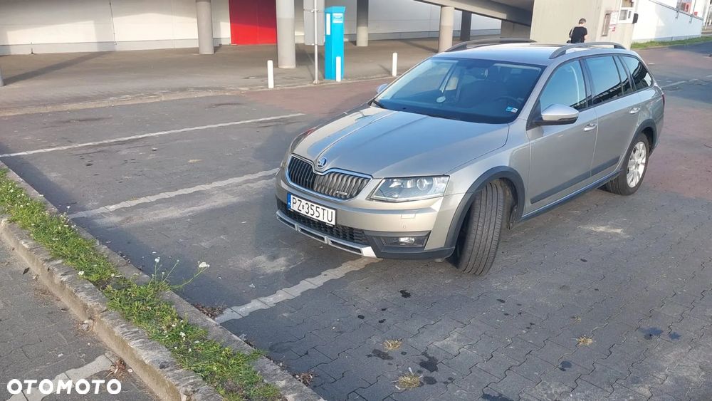 Skoda Octavia Scout 2.0 TDI 4x4 DSG - 2