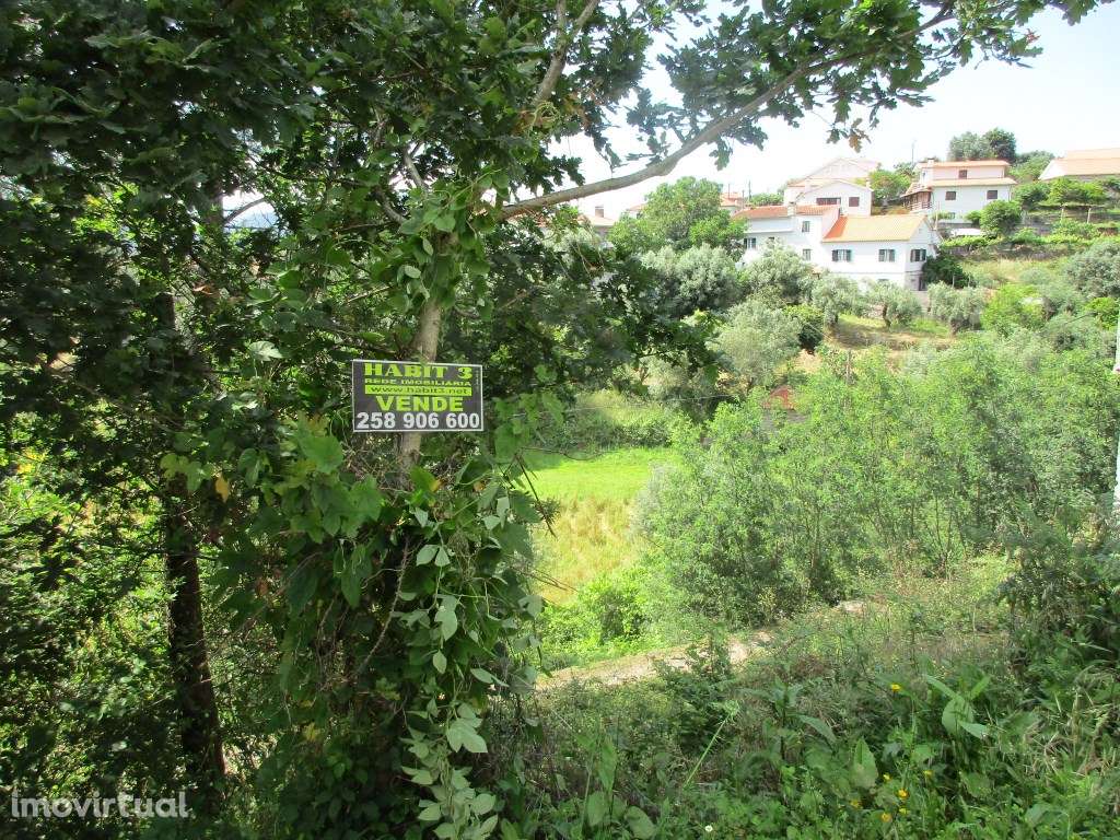 Terreno perto do centro de Ponte de Lima - Grande imagem: 3/4