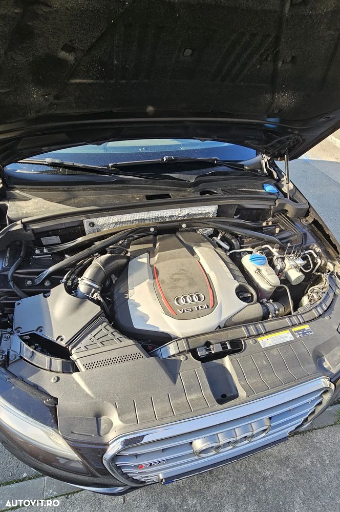 Audi SQ5 - 22