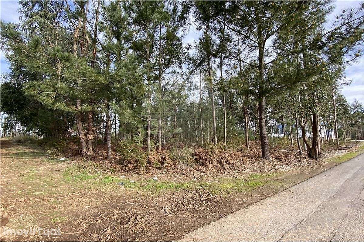 Terreno  para venda - Grande imagem: 4/9