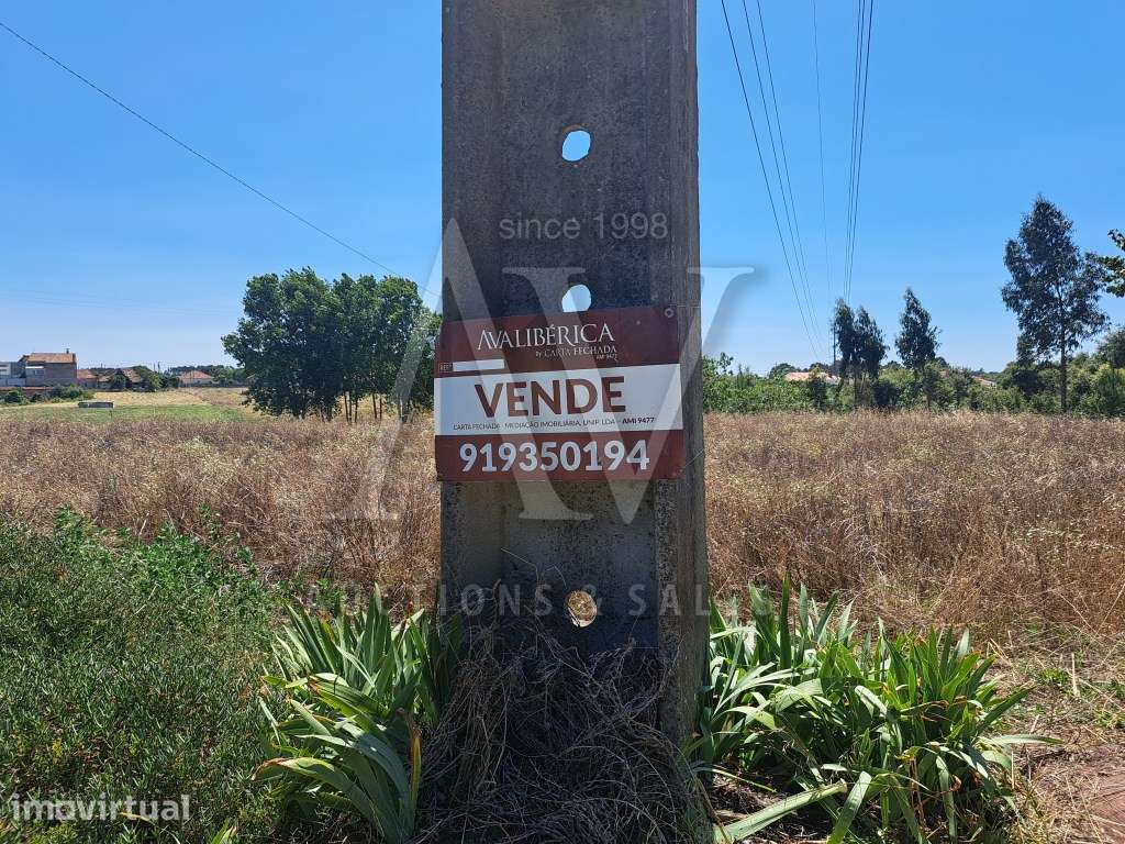 Terrenos _ Porto de Mós - Grande imagem: 3/7