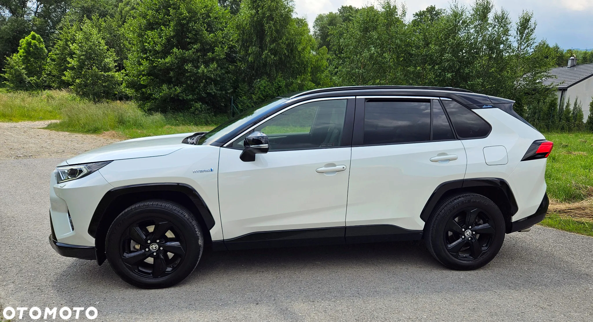 Toyota RAV4 2.5 Hybrid Selection 4x2 - 7