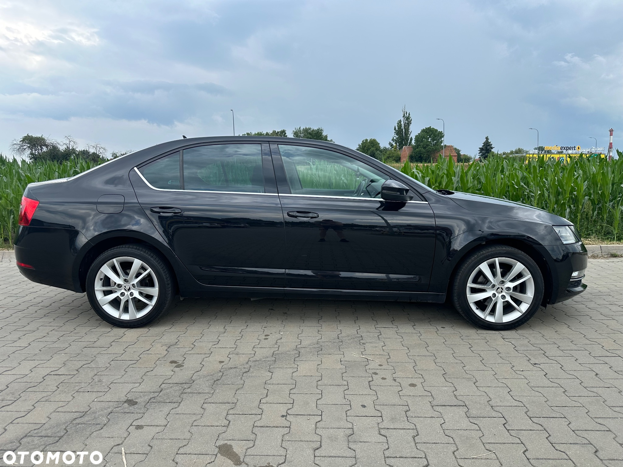 Skoda Octavia - 5